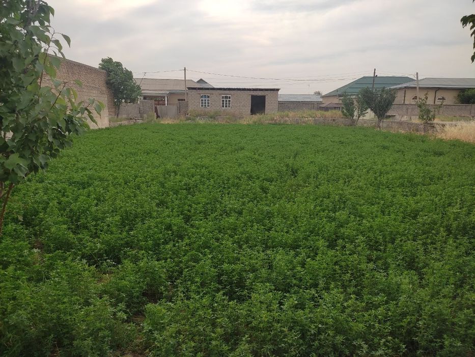 Er sotiladi Elita mahalla