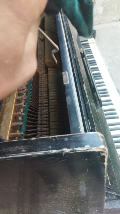 Пиянина сотилади