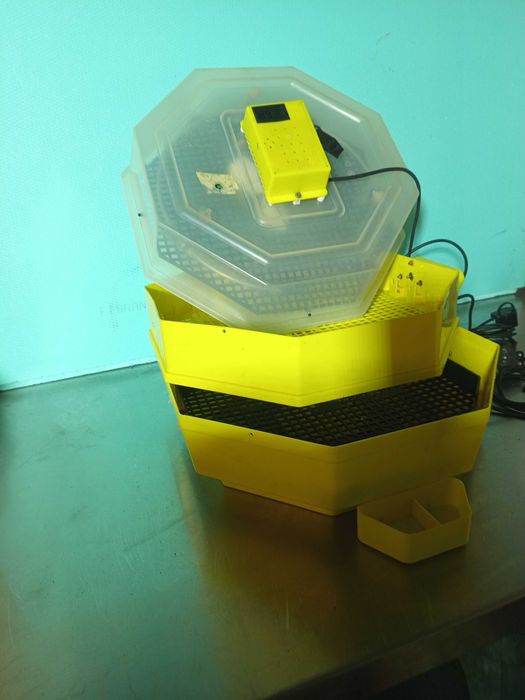 Автоматичен двуетажен инкубатор Cleo 5