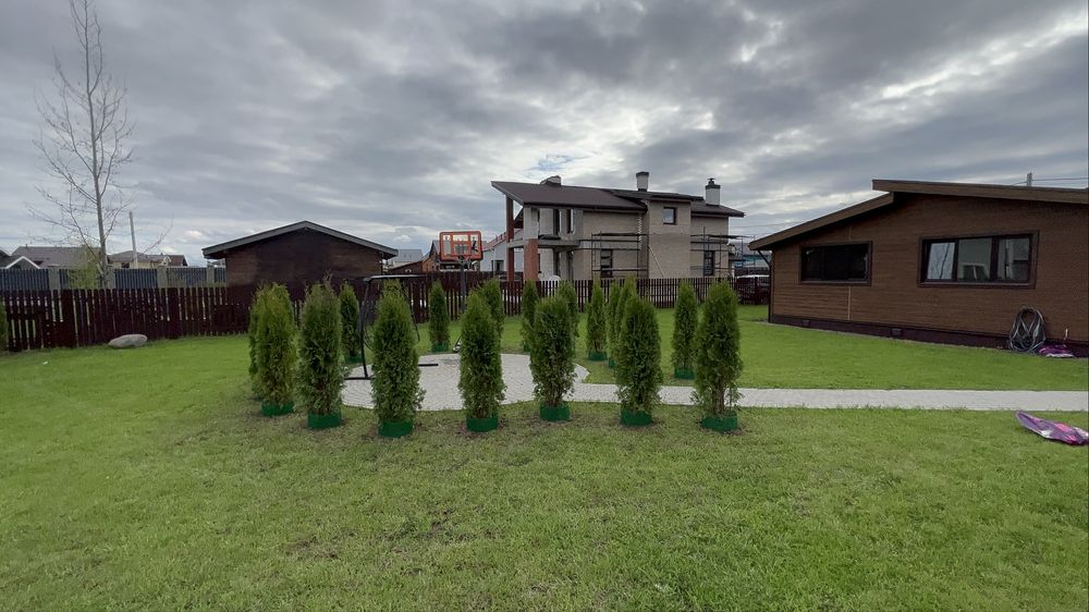 Автополив Газон посадка деревьев