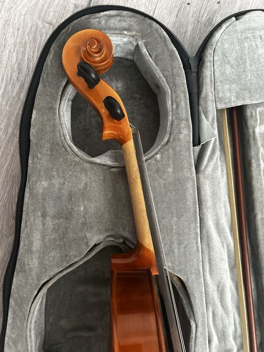 Vioara arcus si toc