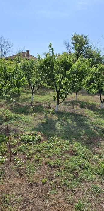 Продава се Къща в с. Кривня, Област Русе - 50 кв.м за 306 €/кв.м - Снимка #4