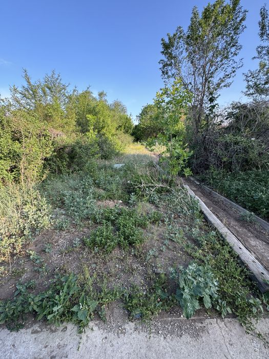 Дача Медзавод центральная улица