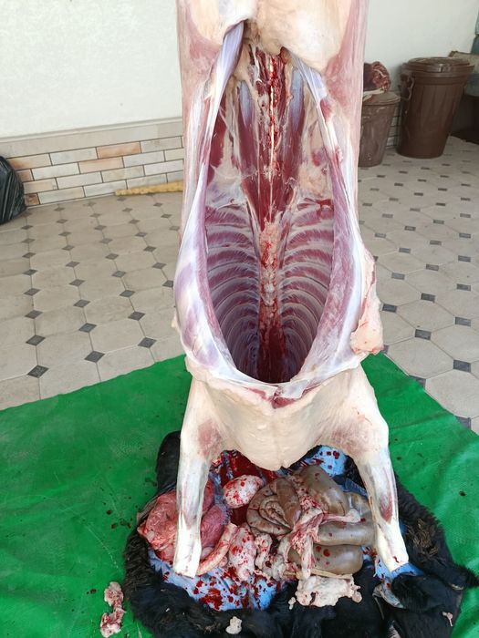 Кассоб-Qassob service hizmati