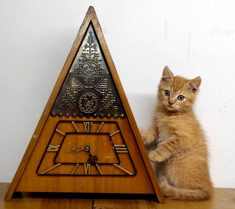 Котенок, золотой тигр, мальчик