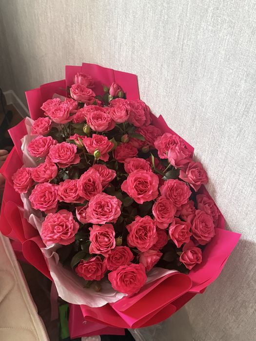 Голландский роза 51 шт