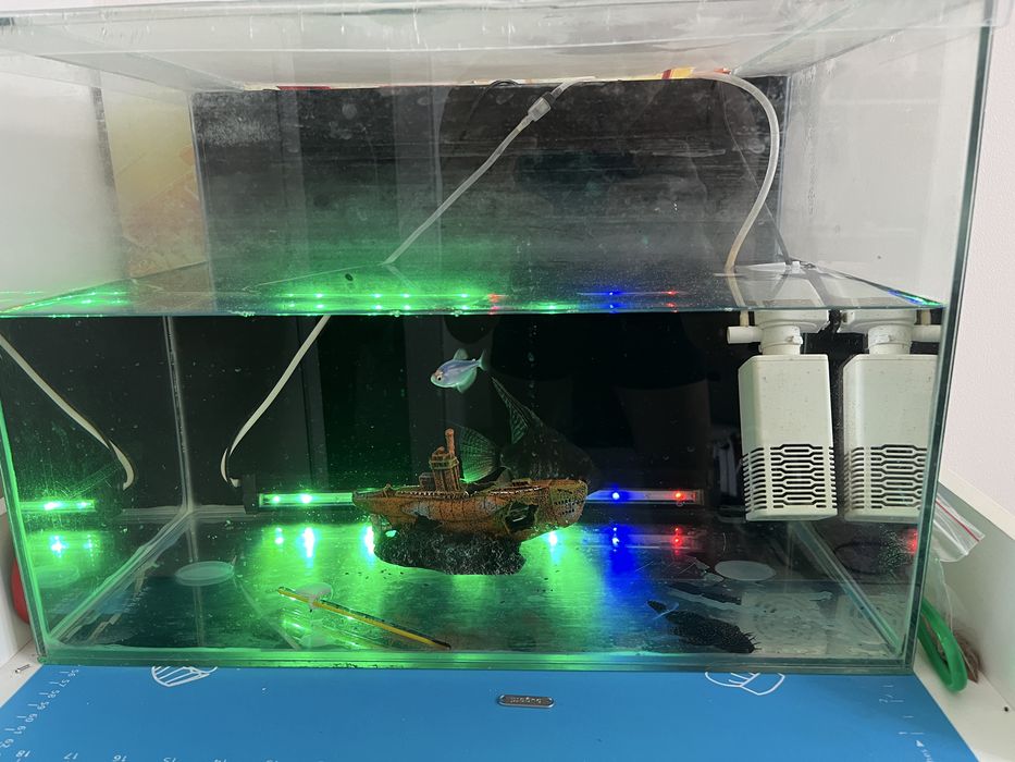 Продам аквариум(в комплекте) + рыбки (50л)