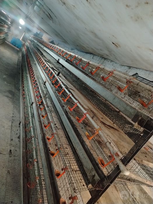 Bedana setkalar sotiladi hamasi yangi setka 20mingta bedona sigadigan
