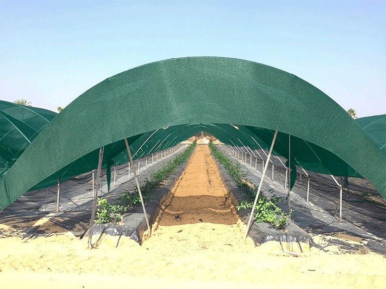 Затеняющие, солнцезащитные, теневые сетки .