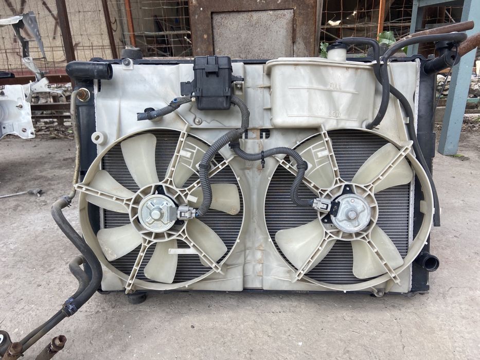 Радитор альфард