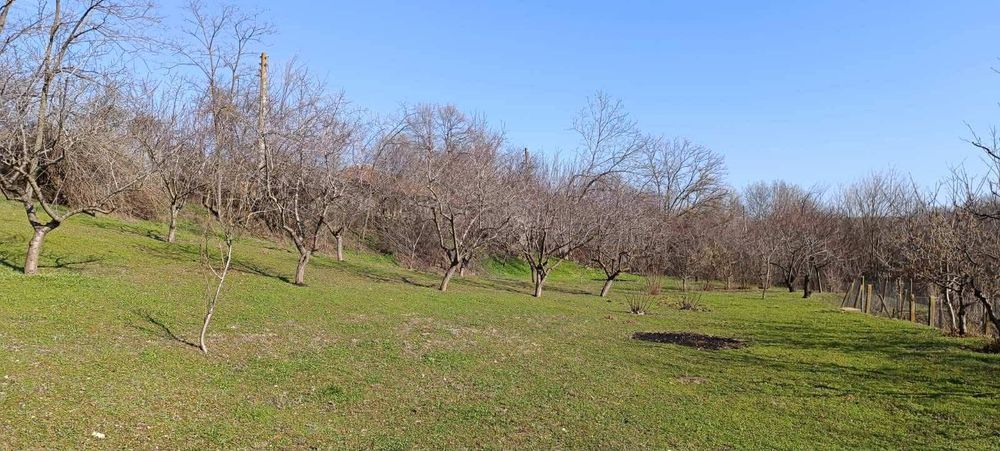 Парцел - с.Калипетрово-от собственик