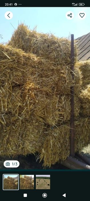 Baloți de paie  de grîu