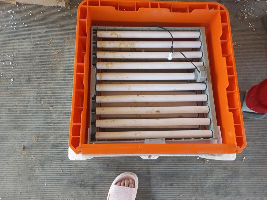 Инкубатор автоват