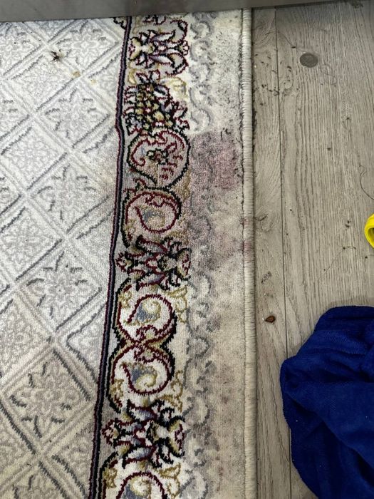 Gilam yuvish xizmati, Стирка кавёр, Гилам ювиш, Услуга стирка, Polos