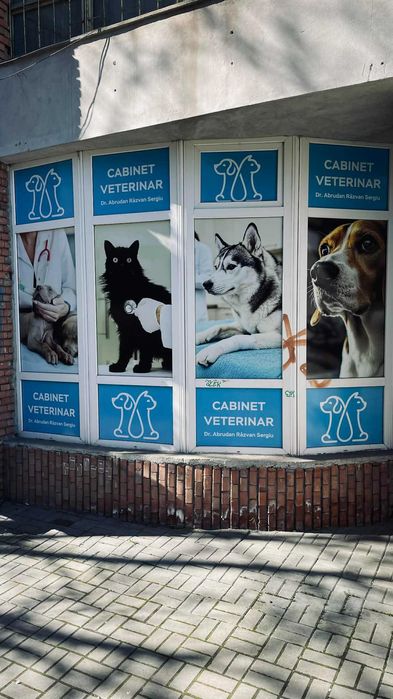 Cabinet medical veterinar cu toate aprobarile si utilitatile, situat in Cluj Napoca. Toata aparatura este noua, renovare facuta recent.