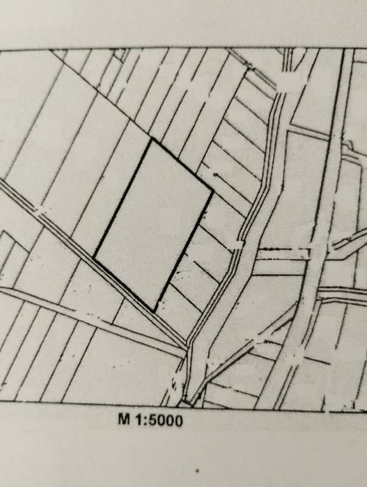 Продава се Земеделски имот в Асеновград -  кв.м за 2 €/дка - Снимка #1