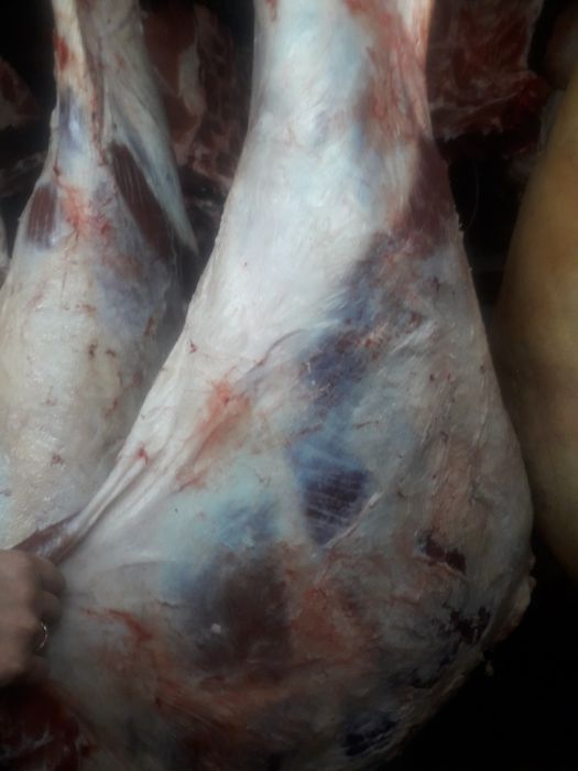 Продам говядину.