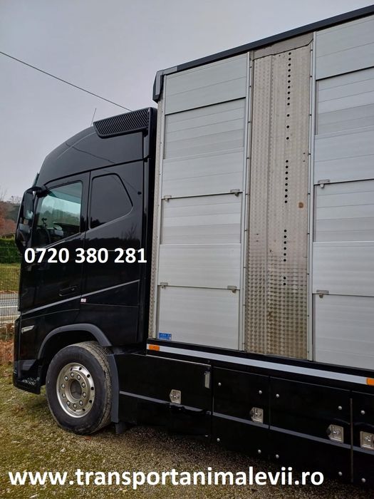 Transport animale vii autorizat orinde in Romania/ international