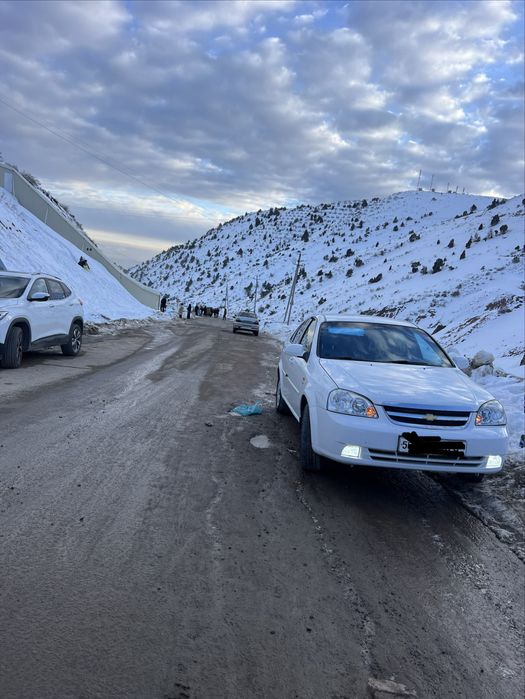 ласетии 1.8 2012