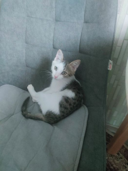 Культурный мальчик