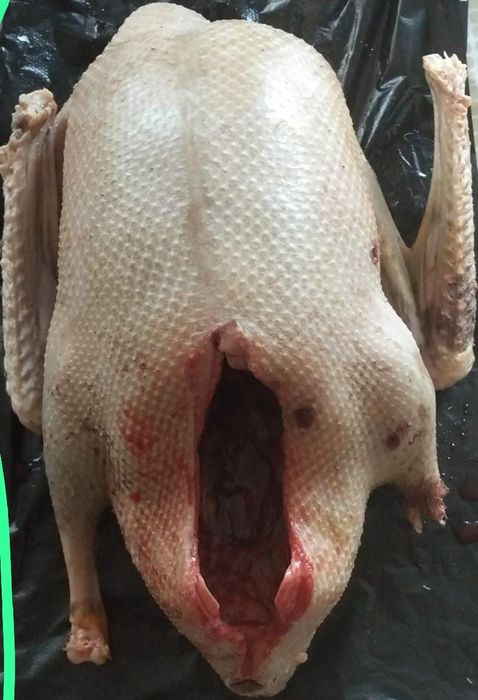 Продам жирных диких гусей