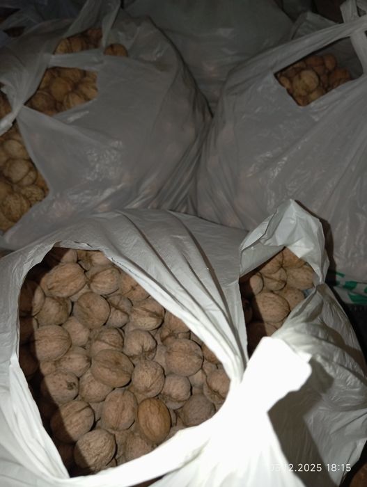 Орехи грецкие, жаңғақ