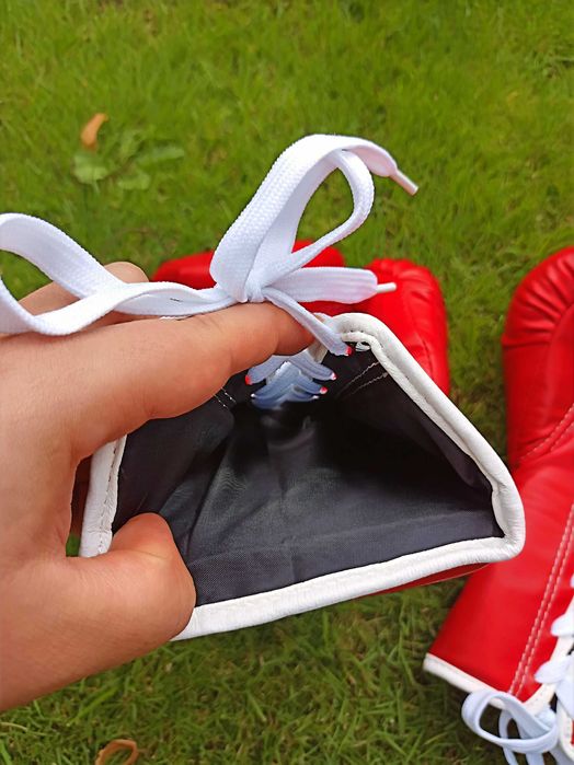 Боксови Ръкавици Supreme x Everlast