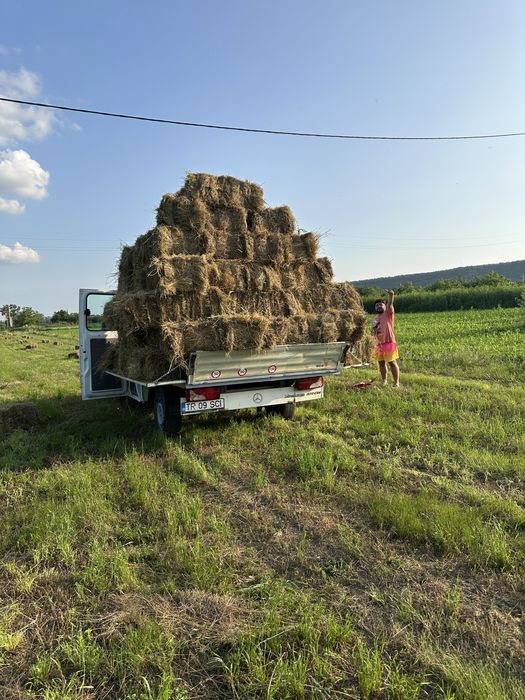 Debarasari Defrisari Demolari Curatenie