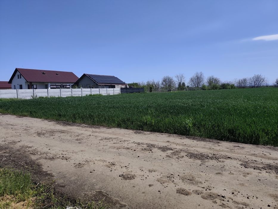 Teren de vanzare 2500 mp, Martacesti, Braila