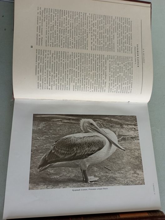 Книги для настоящих охотников.