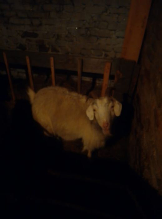 Объявления кокшетау