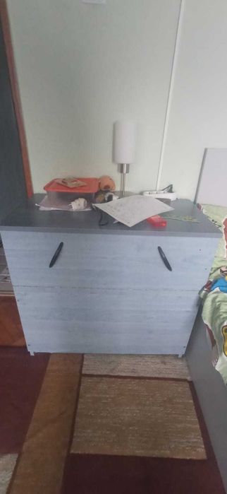 Mobila camera tineret