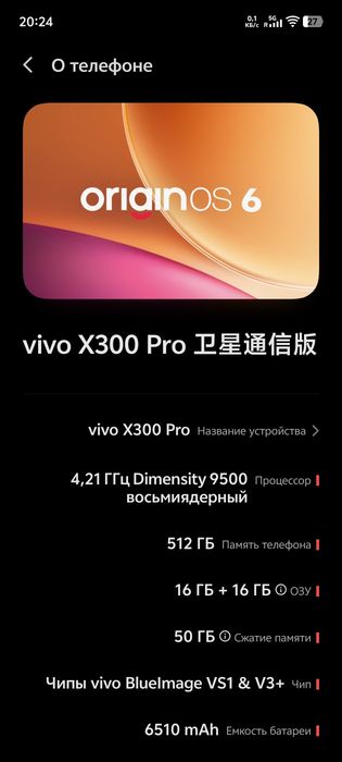 vivo X300pro 16/512