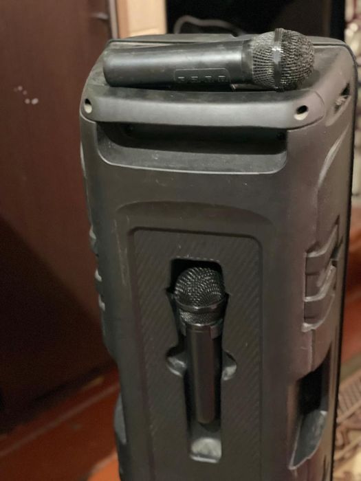 Музыкальный калонка