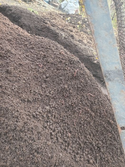 Biogumus sotaman sifati alo darajada