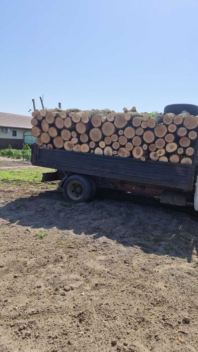 Lemn de foc  ..esenta tare carpen stejar si frasin si lemn de tei .