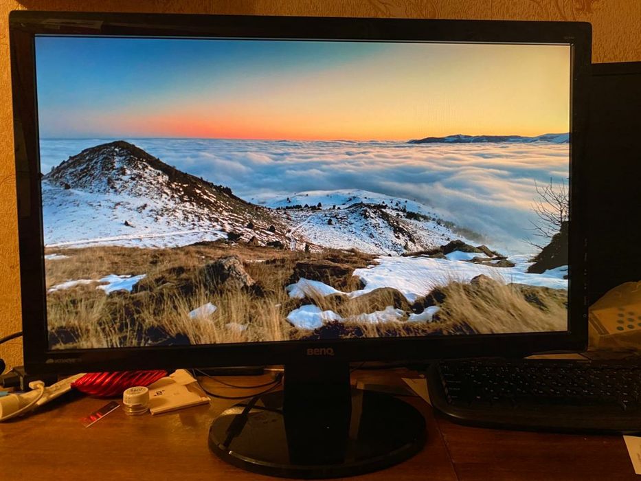 Монитор 24" BenQ GL2450