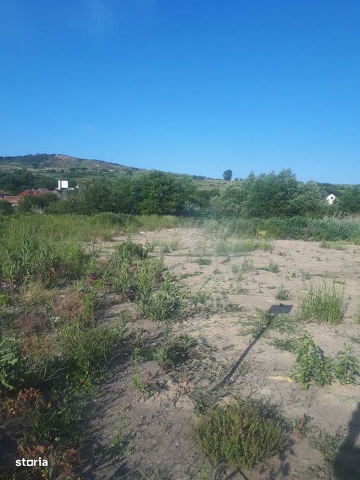 Teren strada Ion Creanga, comuna Chinteni