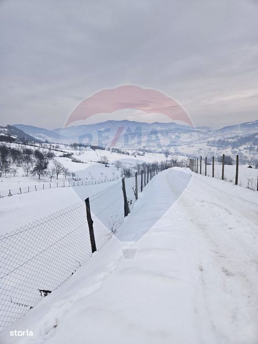 Teren 4,301mp Barsana / Strada Principala