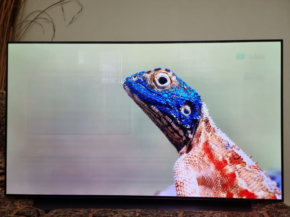 LG OLED Smart TV / 55" - 4K , HDR10+ , WebOS , Dolby Atmos