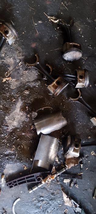 Holatlari edial garantiya razmeri 50