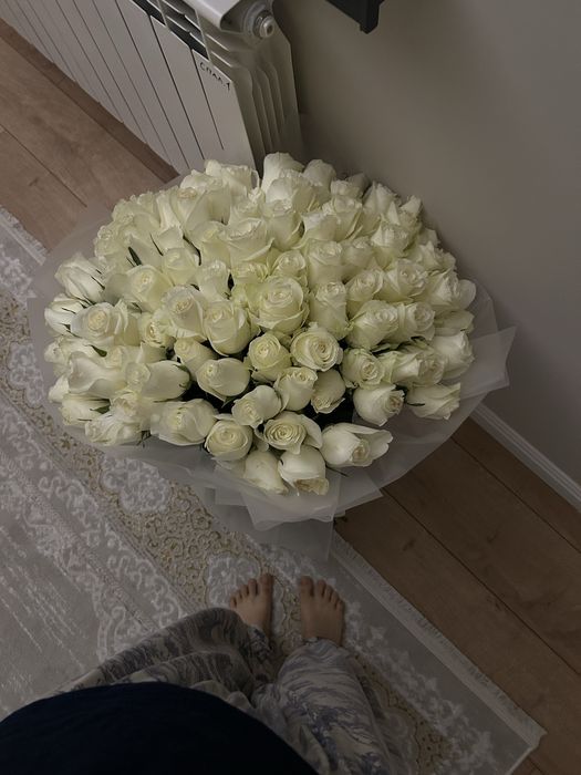 Свежый гул бугинги