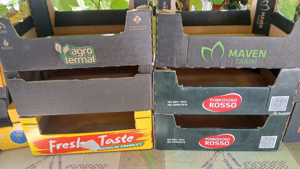 Lazi de carton pentru roșii .