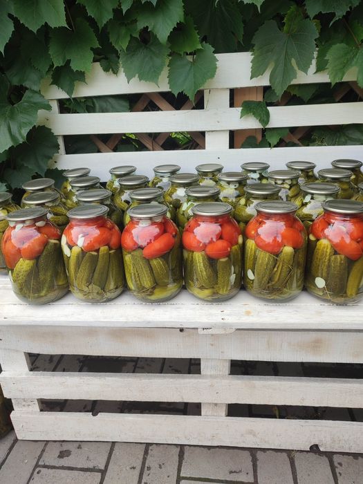 Соленые огурцы. Лучшие