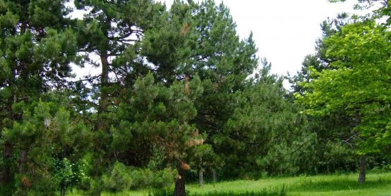 Стара къща в Дъбрава