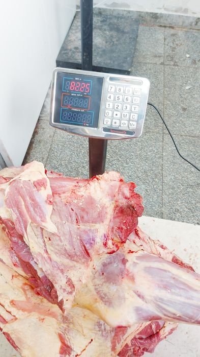 Мясо говядина тушами