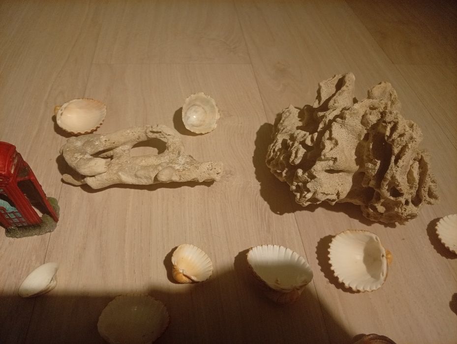 Аквариум ~7.3 литров шарообразный