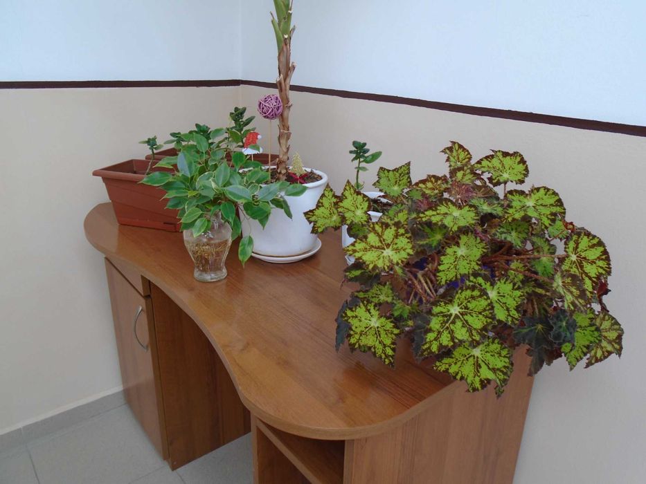 Sony Cyber-shot DSC-W800 20.1МРх