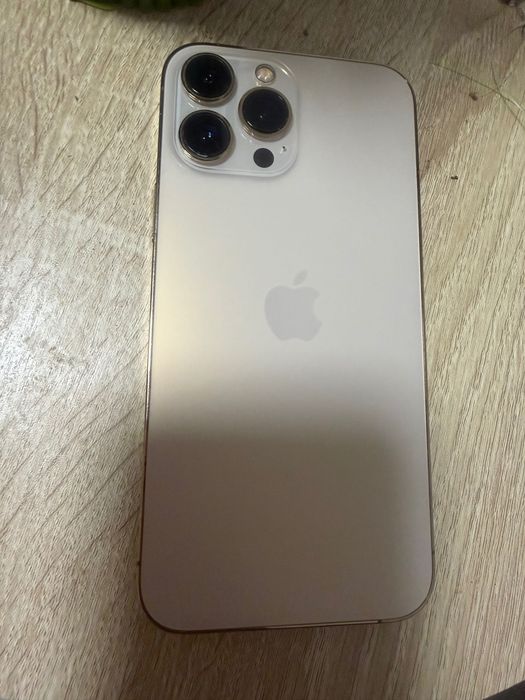 iPhone 13 Pro Max