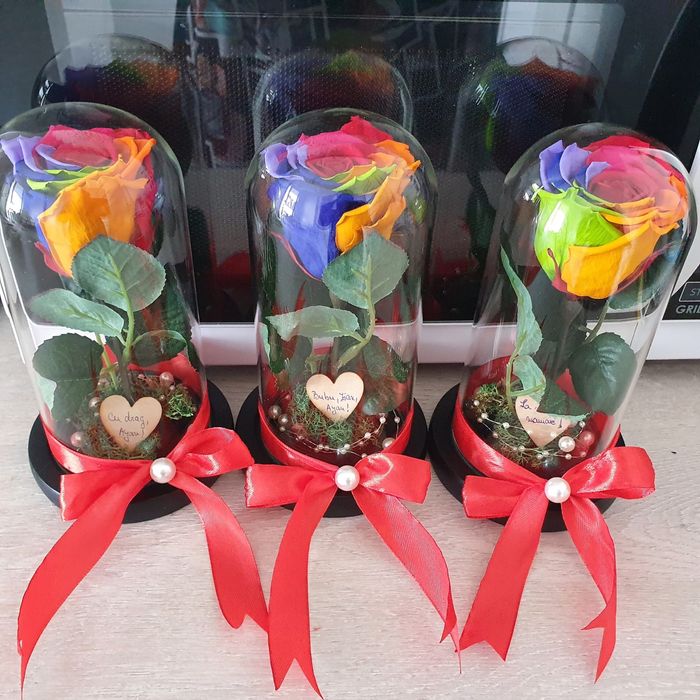 Trandafiri criogenati conservati cadou ideal